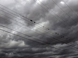 Ptice na električnih vodih pred nevihtnimi oblaki