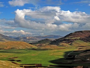 Green fields under clouds