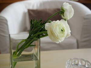 Beli cvetovi v stekleni vazi pred naslanjačem
